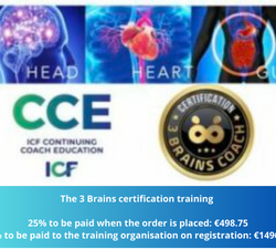3 Brains certificatie programma©