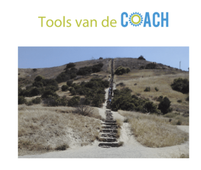 Succesvol coach worden – In 934,5 stappen. Tools van de Coach