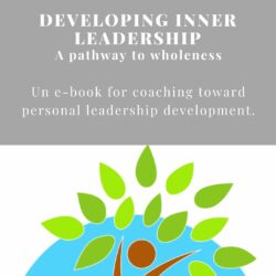 Ebook Developing Inner Leadership. Tools van de Coach