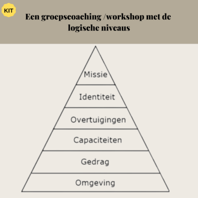 Tools van de Caoch -Een groepscoaching workshop met de logische niveaus