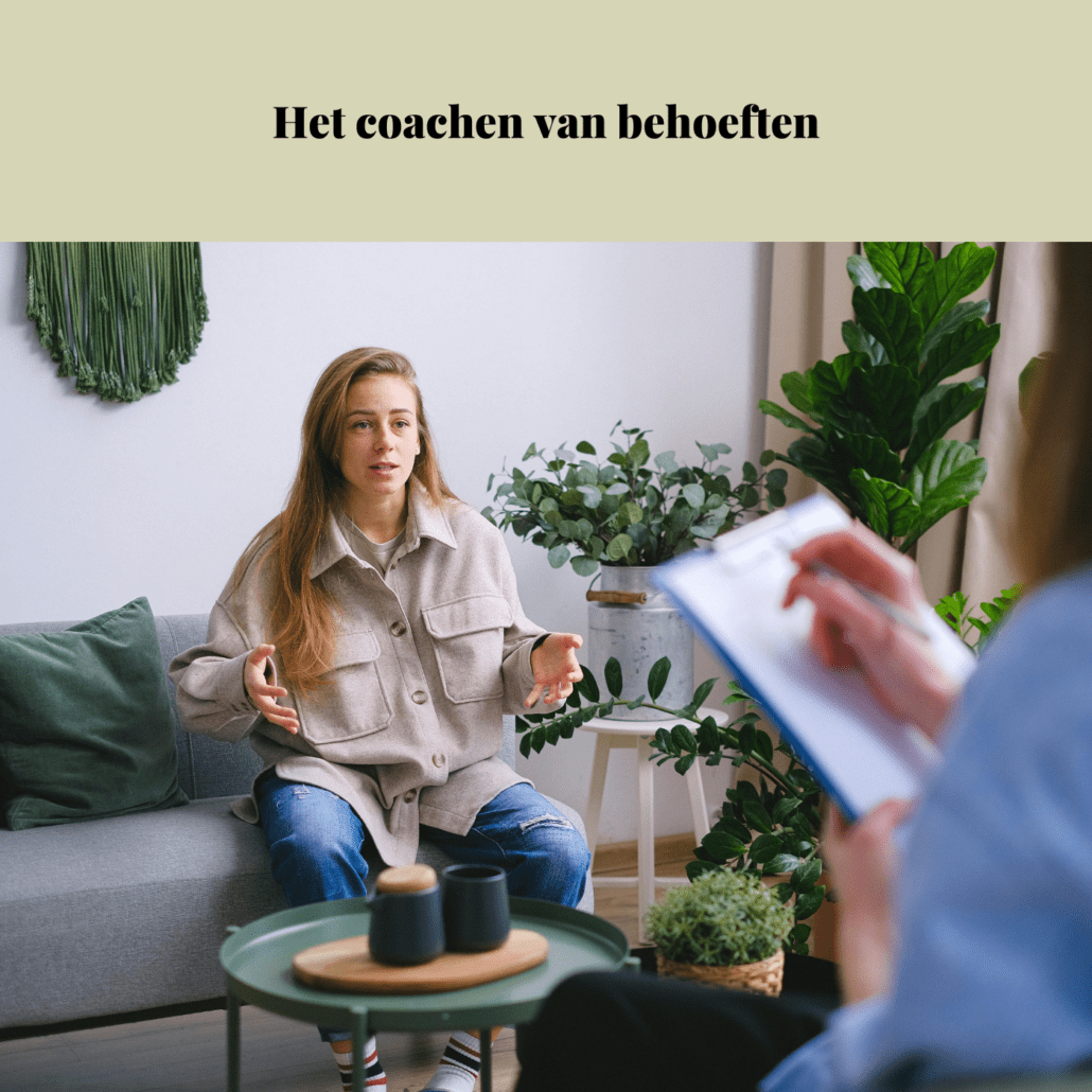 Coachen van behoeften - Tools van de coach - essential e-book
