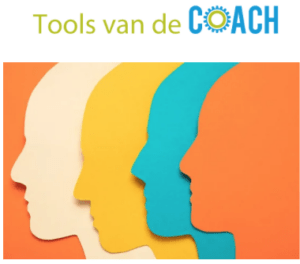 Inzicht in en gebruik van MBTI E-book Tools van de coach