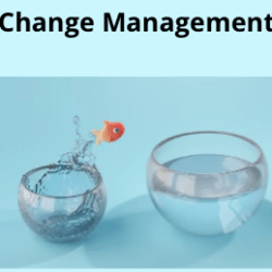 Change Management Tools van de coach