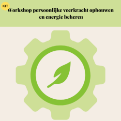 Tools van de Caoch - Workshop persoonlijke veerkracht opbouwen en energie beheren