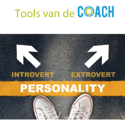 Tools van de coach de kracht van een introverte leider