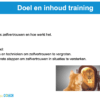 Boost je zelfvertrouwen. Tools van de Coach