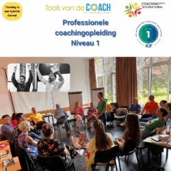 ICF Level 1 gecertificeerde coachingopleiding Toolsvandecoach