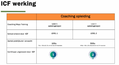 ICF-Level 1 gecertificeerde coachingopleiding Toolsvandecoach