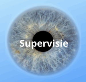 Supervisie voor professionele coaches Blog Toolsvandecoach