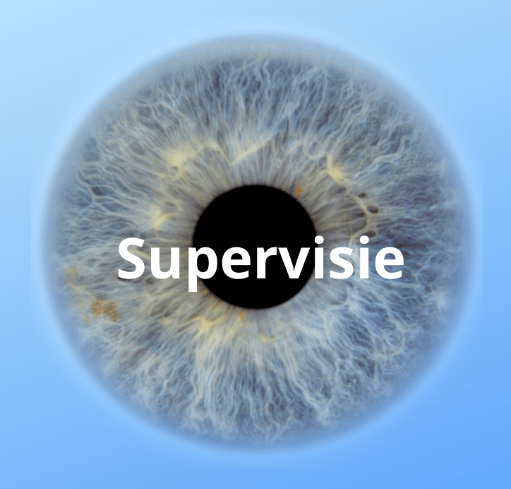 Supervisie voor professionele coaches Blog Toolsvandecoach