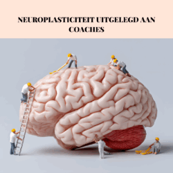 Neuroplasticiteit uitgelegd aan coaches. Tools van de Coach