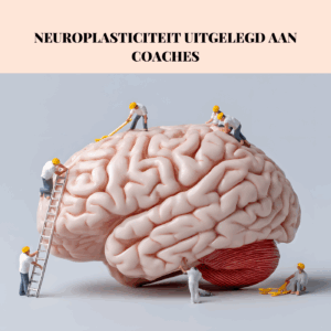 Neuroplasticiteit uitgelegd aan coaches. Tools van de Coach
