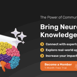 The NPN Hub pas Neurowetenschap effectief toe. Tools van de coach