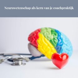 Neurowetenschap als kern van je coachpraktijk Toolsvandecoach