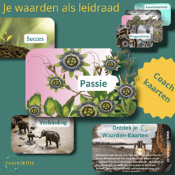 Ontdek je Waarden kaarten Toolsvandecoach