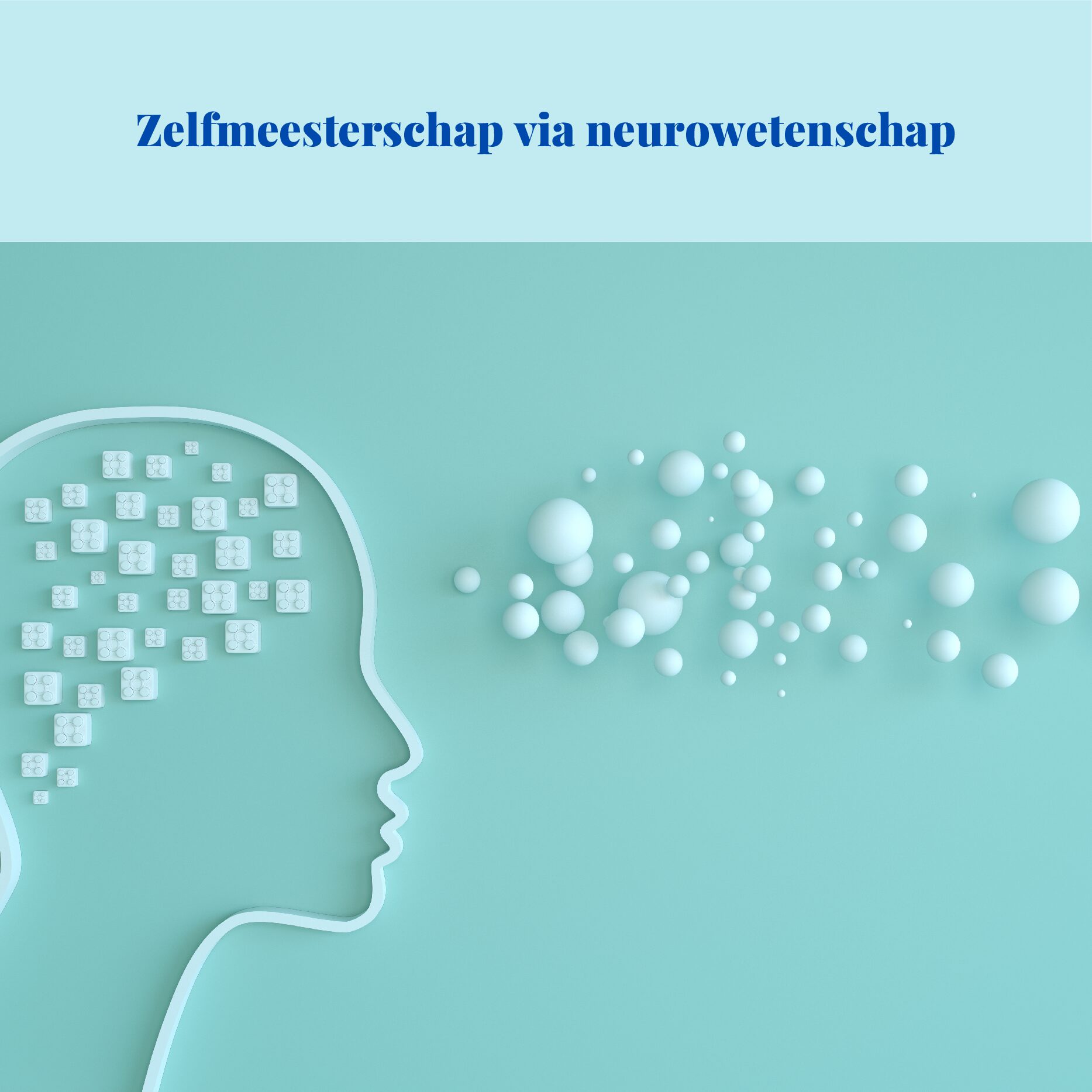 Zelfmeesterschap via neurowetenschap