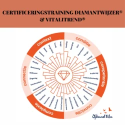 Certificeringstraining DiamantWijzer® & VitaliTrend®. Tools van de Coach